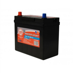 Батарея аккумуляторная-MASTER-SPORT-750453801-1