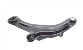 Track Control Arm-KAPIMSAN-2070331-1