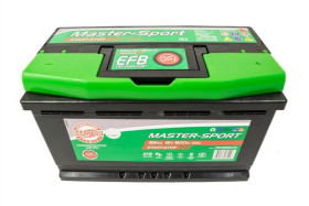 790828000 MASTER-SPORT Батарея аккумуляторная