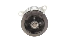 Водяной насос-MAGNETI MARELLI-352316171197-7