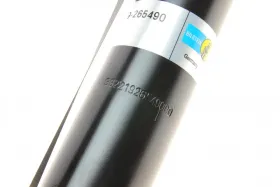 -BILSTEIN-19265490