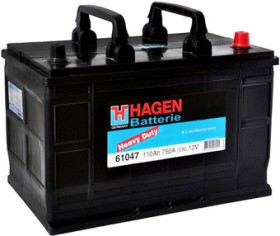 Батарея аккумуляторная-HAGEN-61047