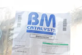 Катализатор-BM CATALYSTS-BM80365H-10