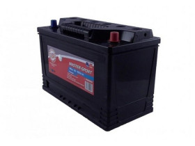 Батарея аккумуляторная-MASTER-SPORT-761259502-1