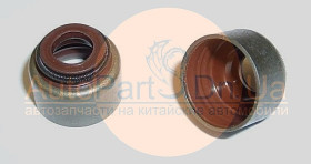 1007022D BYD Сальник клапана BYD Flyer 1007022D