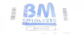 Фільтр сажі-BM CATALYSTS-BM11235H-12