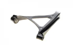 Track Control Arm-KAPIMSAN-0272152-1