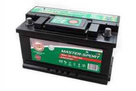 Батарея аккумуляторная-MASTER-SPORT-790807300-1