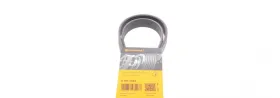 Continental доржковий пас-CONTINENTAL-6PK1623-1