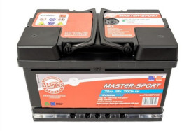 780727002 MASTER-SPORT Батарея аккумуляторная