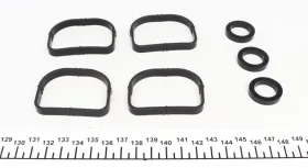 Прокладка колектора впускного BMW 3 (E46/E90) 01-11 (к-кт), N40/N42/N45/N46-REINZ-113728201-1