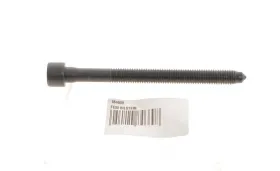 болт головки (з шліцем типу Torx)-FEBI BILSTEIN-184669-2