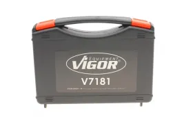 -VIGOR-V7181-3