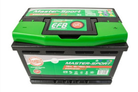 Батарея аккумуляторная-MASTER-SPORT-790727200-1