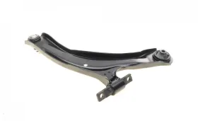 Track Control Arm-KAPIMSAN-1770830-1