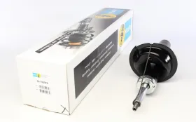 Амортизатор підвіски-BILSTEIN-22143372-2