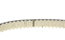 Spare part-DAYCO-KTB886-5