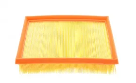 Воздушный фильтр-MANN-FILTER-C24025-1