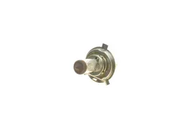 Лампа H4 Heavy Duty 12V 60/55W-NARVA-488883000-3