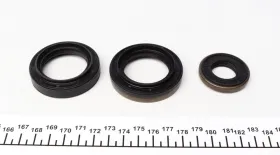 Gearbox bearing kit-LUK-462015410-2