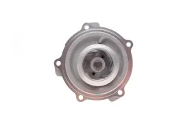 Водяной насос-MAGNETI MARELLI-352316171174-1