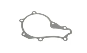 Прокладка помпи води Citroen Berlingo/Peugeot Partner 1.6 HDi 08--REINZ-713655200-2